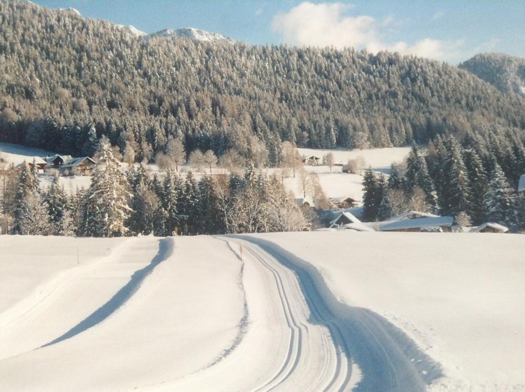 Haus Elsa Apartment Ramsau am Dachstein Exterior photo